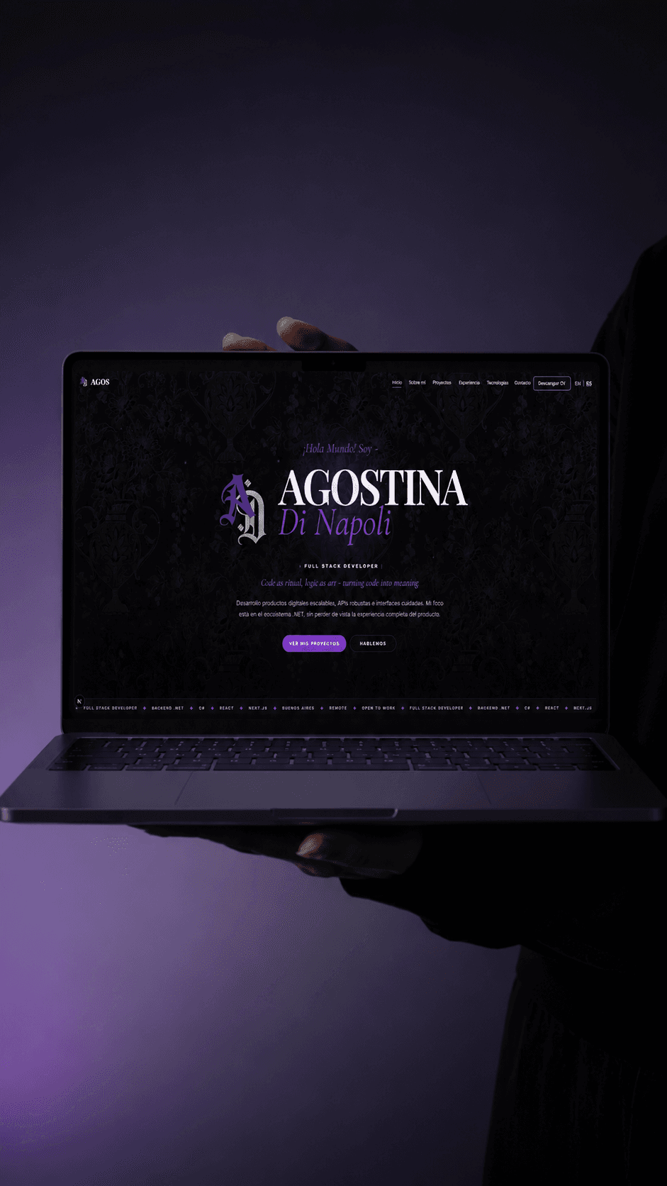 Portfolio Full Stack preview